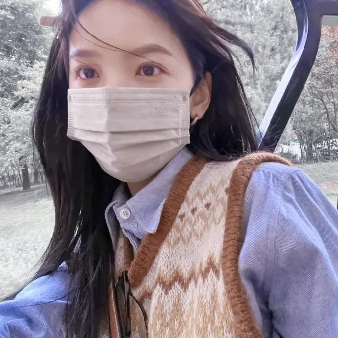 乌鸦：天空的流氓